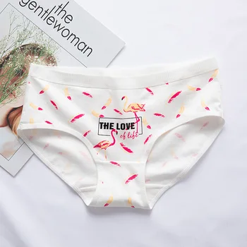 4PCS bombaž flamingov spodnje hlače ženske spodnje hlače bombažne spodnjice brez hlačnic, spodnje perilo, spodnje hlače za ženske Modni srčkan seksi udobje, prijeten hlačne