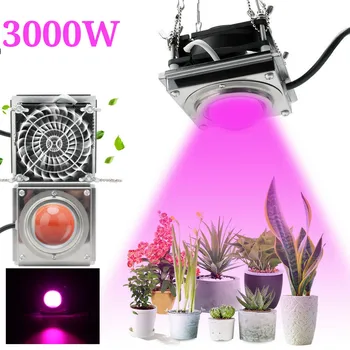 Novo 3000W COB LED Grow Light Celoten Spekter 4000K za vsako. Hydroponic Toplogrednih Rast Rastlin, Razsvetljava svetilke Vodotesne 19129