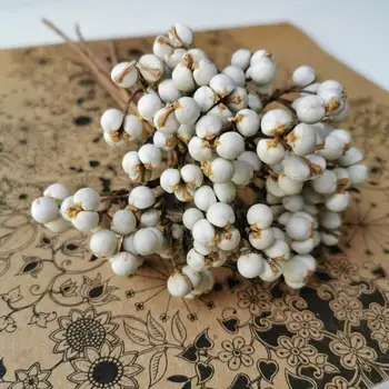 30 g/10-15 cm,Naravna Pravi Beli plodovi Kup,Večno Posušene Zaslon Cvet za Poročno Dekoracijo Doma dodatki,poskrbi cvetje 97630