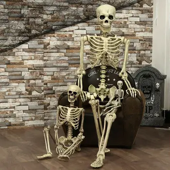 Največji Dobavitelj 1Pcs Halloween Prop Človeško Okostje Polni Velikosti Lobanje Strani Življenja Telo Anatomija Model Dekor 38x12cm 97753