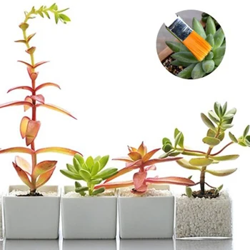 10pcs Miniaturni Vrtnarjenje Ročno Orodje Set Sočna Presajanje Pravljice, Vrtno Orodje, Sajenje, z 20 Rastlin Oznake kot Darilo