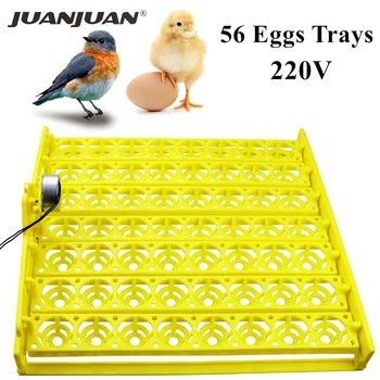Jajce Inkubator Samodejno 56 Plastika Ptica Račja Jajca Kokošja Jajca Valilna Pralni 220V Inkubator Pladnji z Auto Turn Motornih 40%popusta