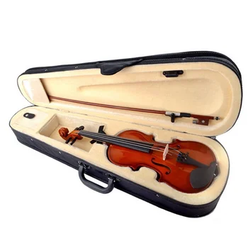 Violino 4/4 Naravnih Javorjevega Lesa Akustične Z Violino Primeru, Kolofonije, Bow