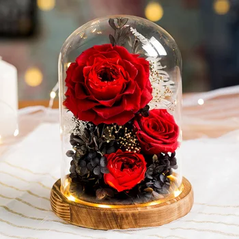 2020 Novo Božično darilo valentinovo Darilo Lepota In Zver Rose Večno Rose Z LED Luči V Stekleno Kupolo, Darilo za Rojstni dan