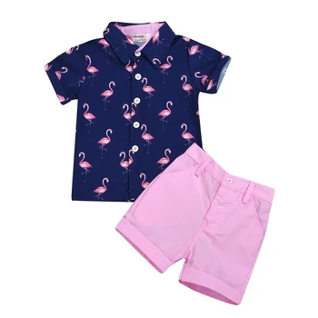 2020 Otroci Oblačila Sklop Otrok Nositi Fant Fashion Majica, Hlače 2 Delni Set INS Firebird Vrh Roza Hlače Mornarsko Modri Fantje Set