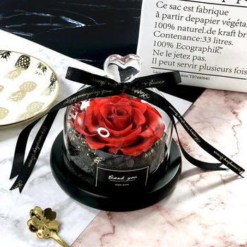 2021 Punco Romantično Valentinovo Darila Lepota In Zver Rose Pravi Vrtnice, Da Žena Večno Rose v Stekleno Kupolo S Svetilko