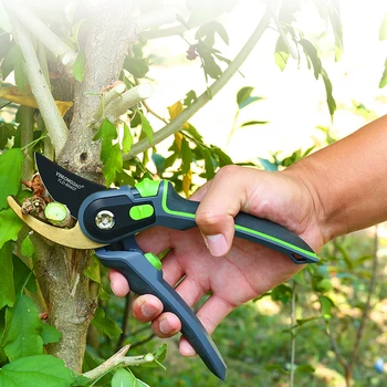Vrtnarjenje obrezovanje sadnega drevja, obrezovanje škarje vrtnarski obrezovanje vej vrt dela-prihranek škarje škarje za gospodinjstvo artefakt