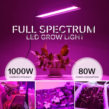 LED Grow Light 1000WFull Spektra Visok Svetlobni Izkoristek Ffs Lučka za Notranji Šotor Toplogrednih Hydroponic Rastlin Cvet