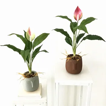 60 cm, Umetni Redkih Anthurium Cvet Zelena Ponaredek Rastline Plastičnih Magnolija Listov Hotel Novo Leto Domov DIY Dekor Ponaredek Večni Cvet