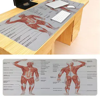 MaiYaCa Fant Darilo Pad medicine anatomija Urad Miši Igralec Mehko Mouse Pad Design Vzorec Računalnik Mousepad Gaming Mouse Pad
