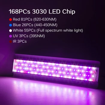 LED Grow Light 1000WFull Spektra Visok Svetlobni Izkoristek Ffs Lučka za Notranji Šotor Toplogrednih Hydroponic Rastlin Cvet