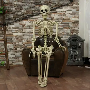 Največji Dobavitelj 1Pcs Halloween Prop Človeško Okostje Polni Velikosti Lobanje Strani Življenja Telo Anatomija Model Dekor 38x12cm